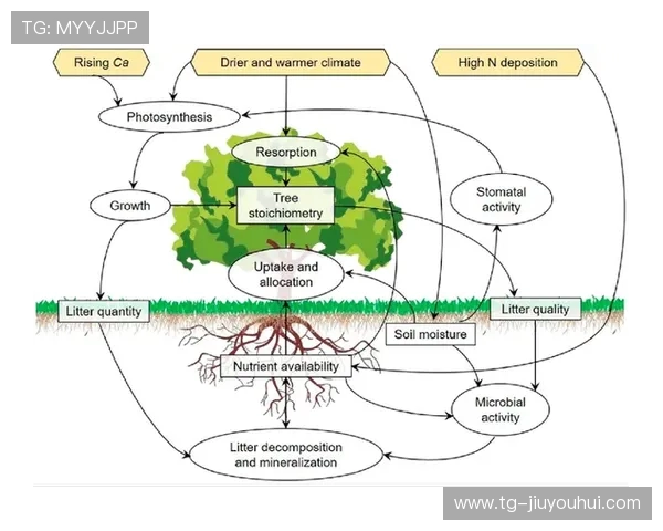 全球视角探讨现代城市足球场馆规划建设与可持续发展趋势研究实践